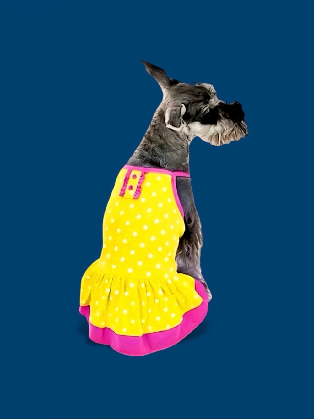 Vibrant Life Yellow Polka Dot Dog Dress